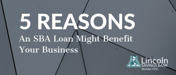 NProgramsPredictable ProspectingVerticalsSBA USDA VitalGraphicsSBA 5 reasons